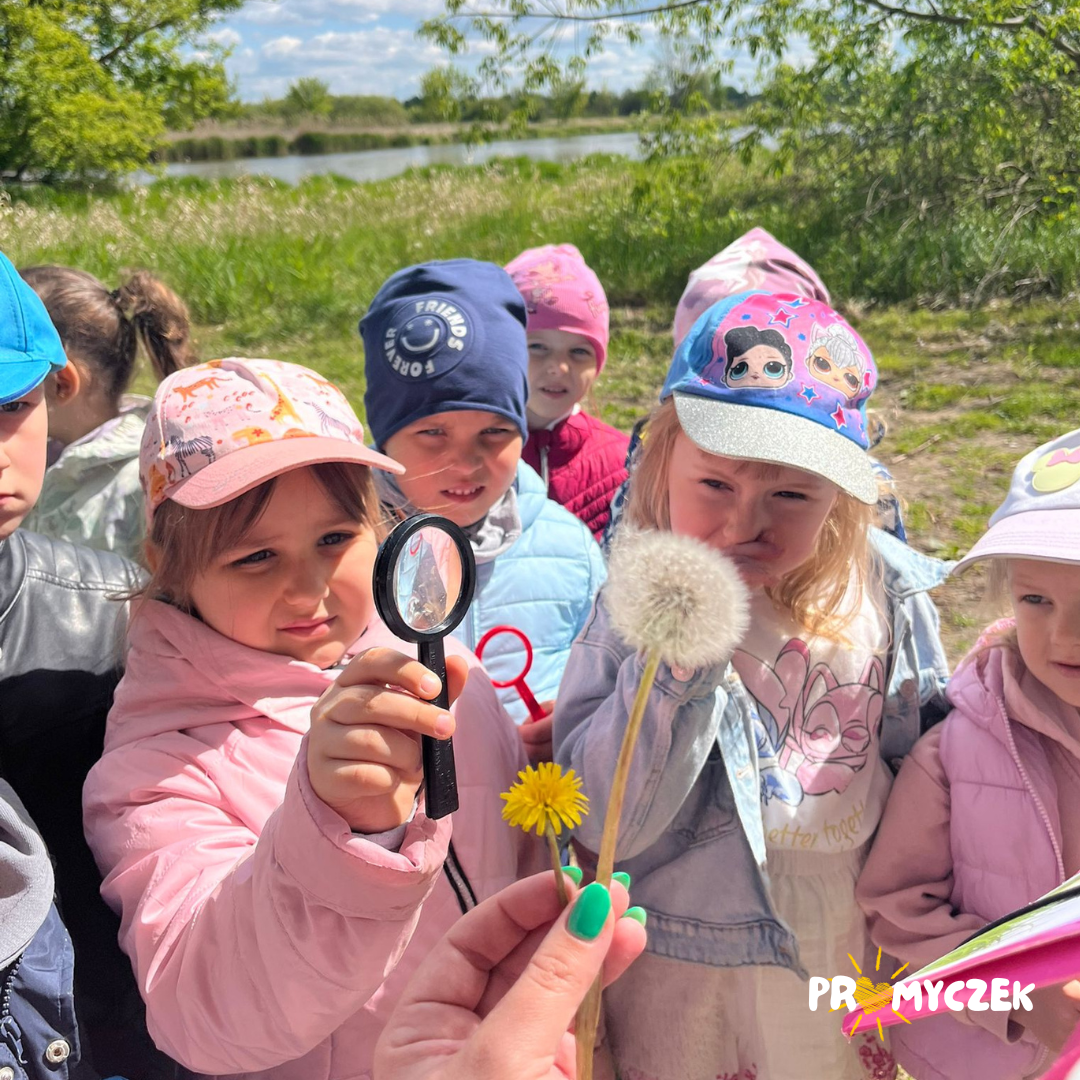 Co w Trawie Piszczy?