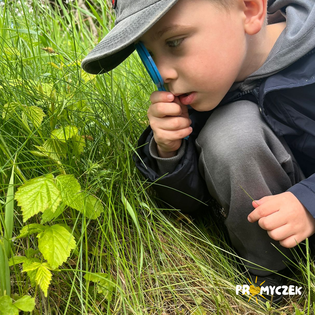Co w trawie piszczy? Promyczek Białobrzegi