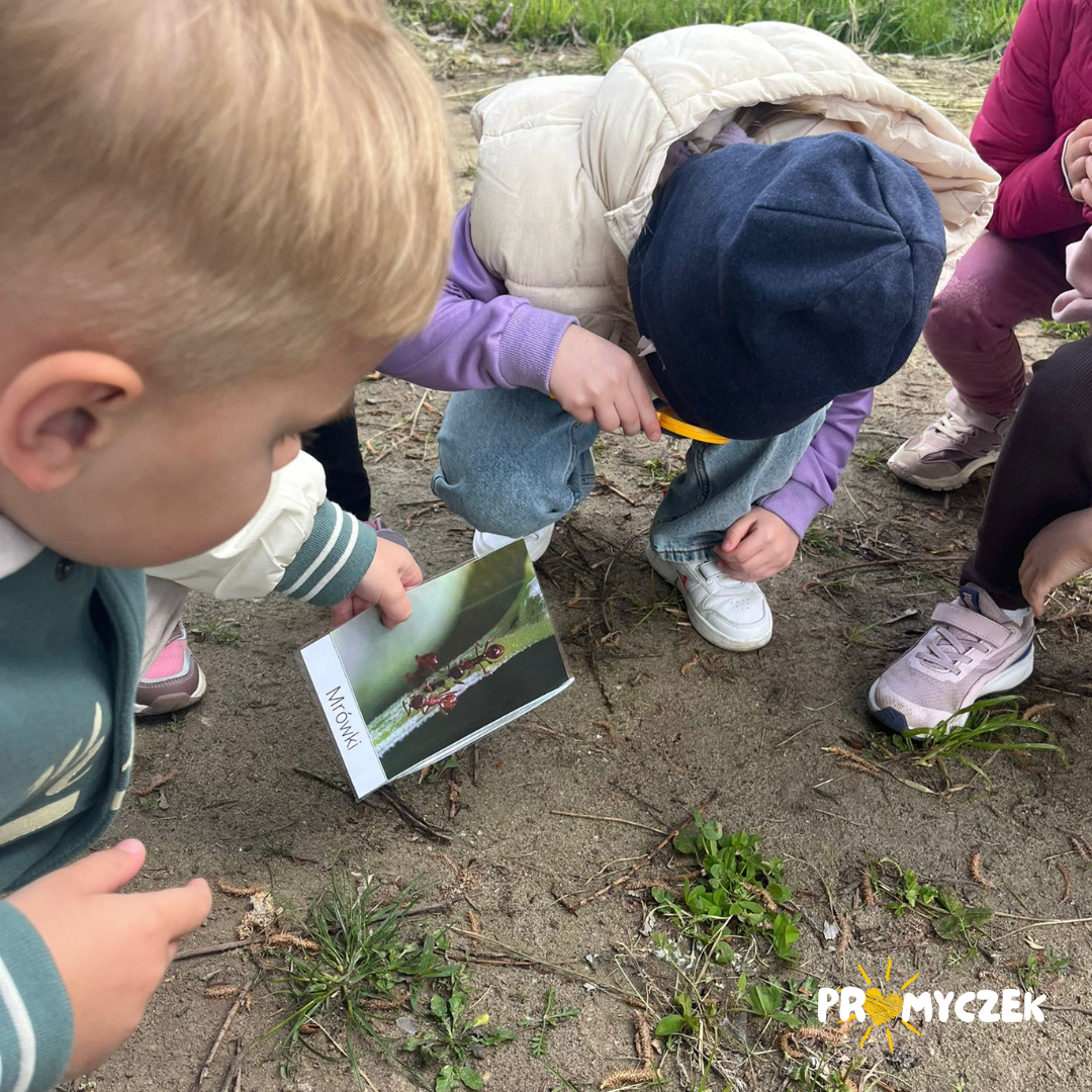 Co w trawie piszczy? Promyczek Białobrzegi