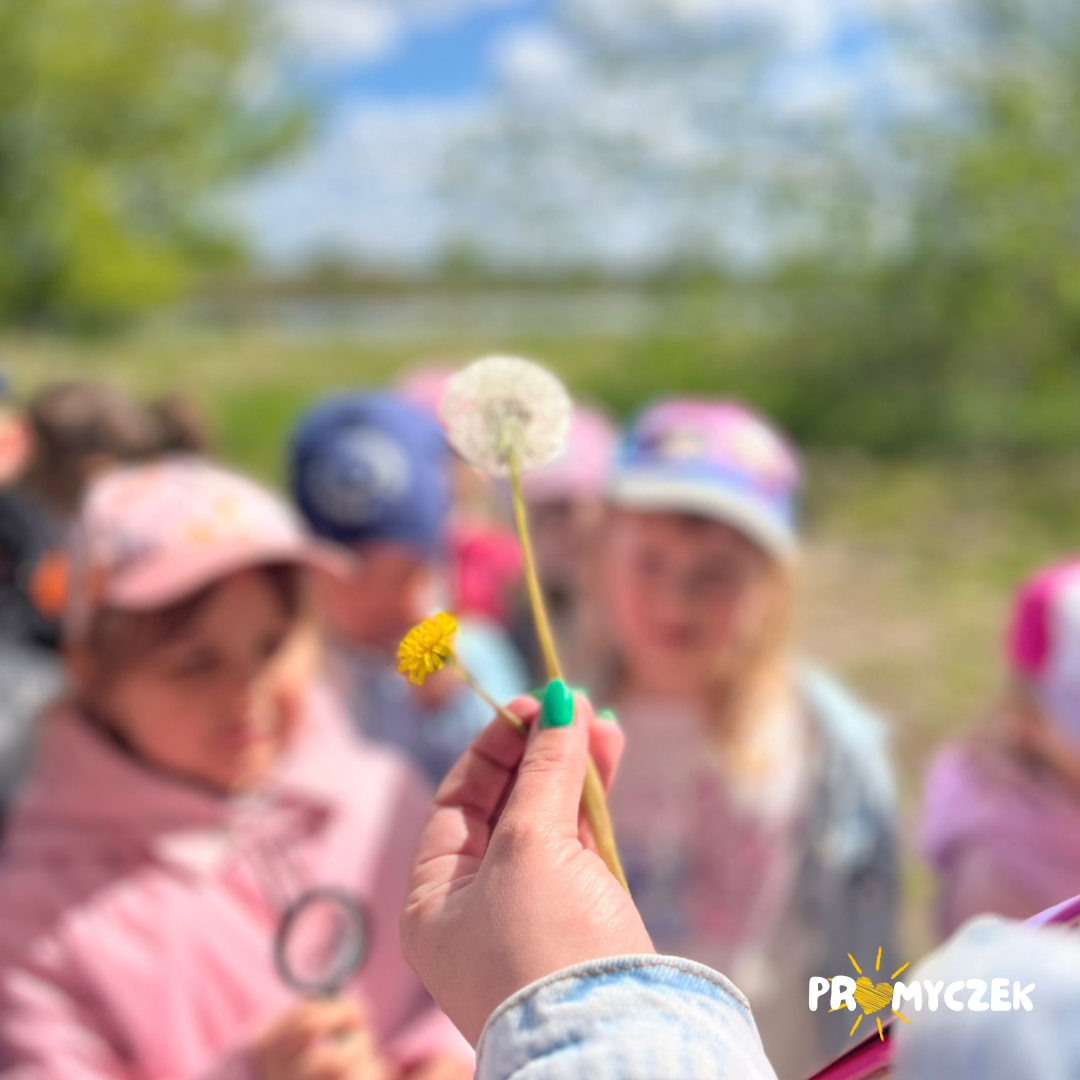 Co w trawie piszczy? Promyczek Białobrzegi